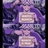 Bleach GIF