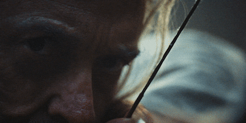 Robin Hood GIF by A24