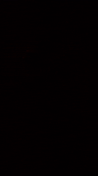 Celiin music horror red artist GIF