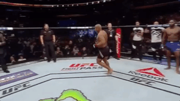 ufc 210 GIF