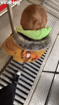 Toddler Has Trouble in Funhouse