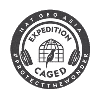 Podcast Birds Sticker by National Geographic Asia