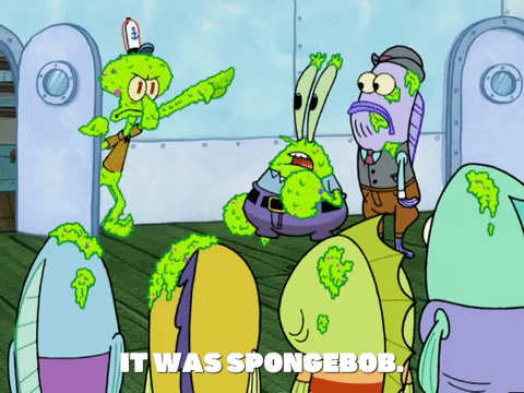 season 5 episode 3 GIF by SpongeBob SquarePants