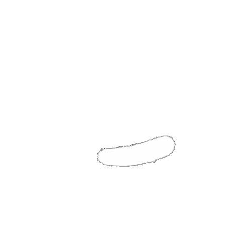 White Line Sparkle Sticker by Knibbles x Klick Singapore