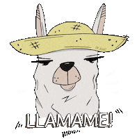 Llama Bolivia Sticker by IKAWI