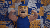 Sjsu GIF by San Jose State Spartans