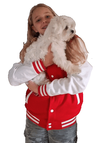AmarinsBC giphyupload doglover maltese amarinsb Sticker