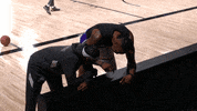 Nba Playoffs Fun GIF by NBA