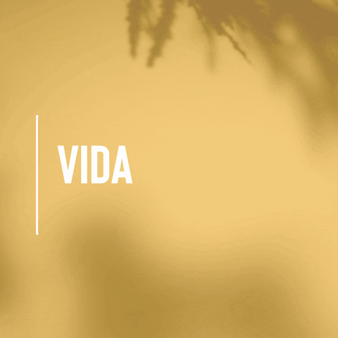vidaycomida giphyupload GIF