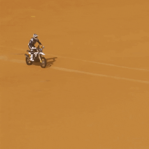 GIF by Red Bull