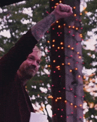 Maine Senator GIF by Respective