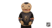 Ice Hockey Sport GIF by NHL
