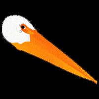 intered_ongd fake news no lo niegues intered noloniegues GIF