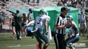 football celebration GIF by GreenWave