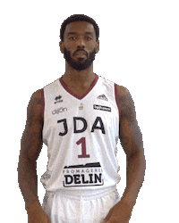 Basketball Basket Sticker by JDA Dijon