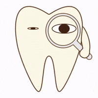 Tooth Magnifying Glass GIF by dental_sozai