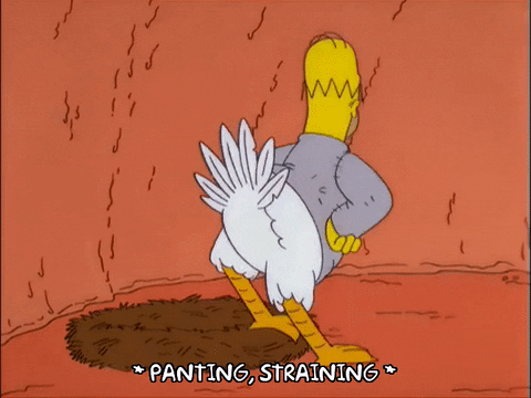 homer simpson feathers GIF