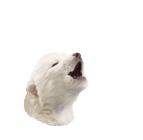 Howling Dire Wolf Sticker by Colossal