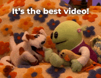 Best video