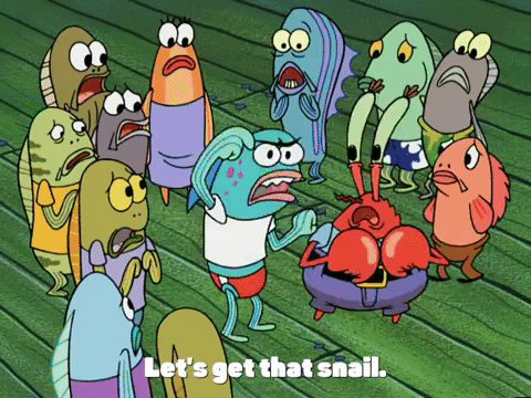 new leaf episode 13 GIF by SpongeBob SquarePants