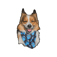 Corgi Bentley Sticker by Geekster Pets