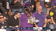 National Football League GIF by NFL