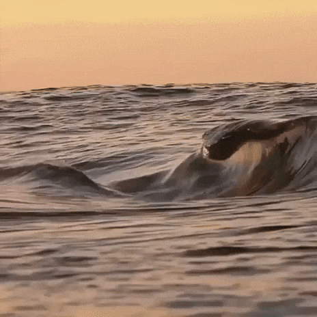 Ocean-wave GIFs - Get the best GIF on GIPHY