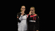 dhcplzen  GIF