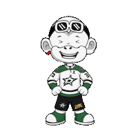 Dallas Stars Sticker by Zhot