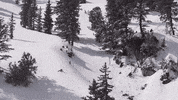 awesome you can do it GIF by X Games 