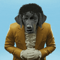 Black Dog What GIF by Jukebox Saints