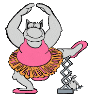 Dance Cat Sticker