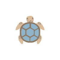 islandmedia sea turtle diving sea turtle Sticker