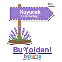 This Way Sign Sticker by Antalya City Guide