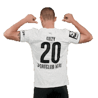 Tor 3Liga Sticker by SportclubVerl