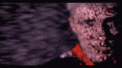 i feel so braindead paris hilton GIF by ppgcasper