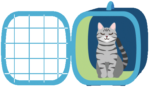 Travel Pet Sticker by Alaska Airlines