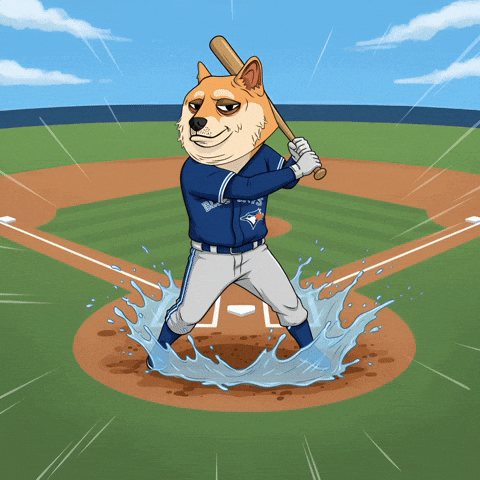 Splashing Home Run GIF by Doge Pound