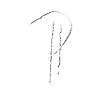 P Sticker