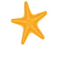 panhandlegetaways vacation starfish 30a pcb Sticker