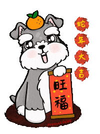 Schnauzer Sticker