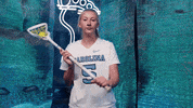 North Carolina Ncaa GIF by UNC Tar Heels