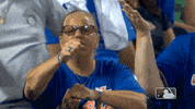 Ny Mets Sport GIF by New York Mets