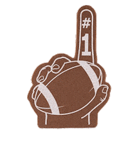 Touch Down Game Day Sticker by CopperheadDistillery