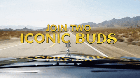 Cheech And Chong Smoke GIF by Cheech & Chong’s Last Movie