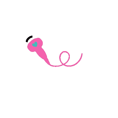 sonographerdesign ultrasound probe sonography sonographer Sticker