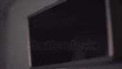 On Air Radio GIF by morning