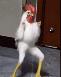 Dog Dancing GIF