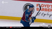 Happy Colorado Avalanche GIF by NHL