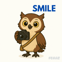 Photo Smile GIF by Feraz NFT